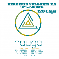 BERBERIS VULGARIS E.S 97%-550MG-120 CÁPSULAS